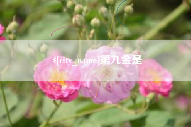 岳阳第九金是