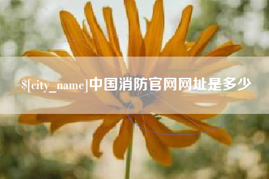 岳阳中国消防官网网址是多少