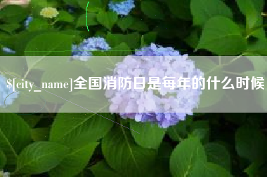 岳阳全国消防日是每年的什么时候