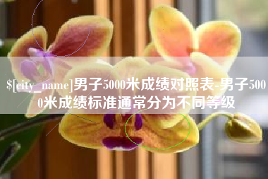 岳阳男子5000米成绩对照表-男子5000米成绩标准通常分为不同等级