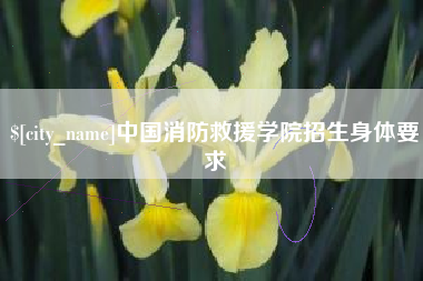 岳阳中国消防救援学院招生身体要求
