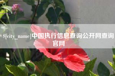 岳阳中国执行信息查询公开网查询官网