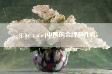 岳阳中国的金牌有几名