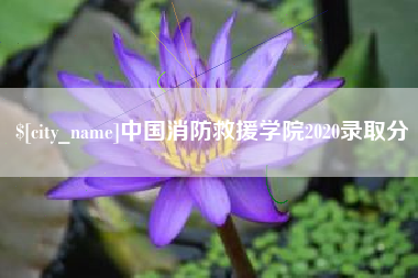 岳阳中国消防救援学院2020录取分