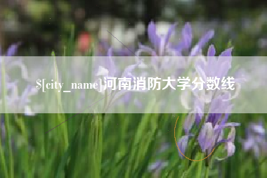 岳阳河南消防大学分数线
