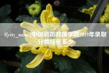 岳阳中国消防救援学院2019年录取分数线是多少