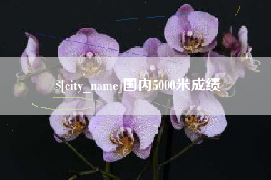 岳阳国内5000米成绩