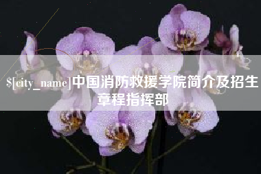 岳阳中国消防救援学院简介及招生章程指挥部