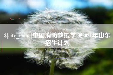 岳阳中国消防救援学院2021年山东招生计划