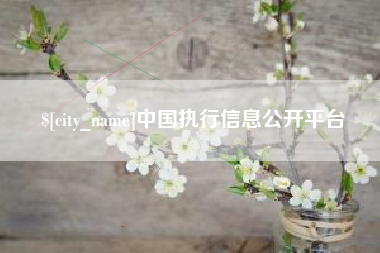 岳阳中国执行信息公开平台