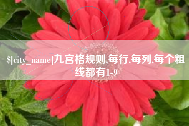岳阳九宫格规则,每行,每列,每个粗线都有1-9