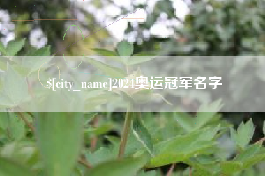 岳阳2024奥运冠军名字