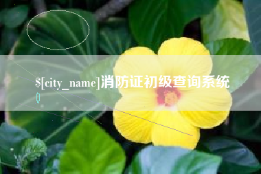 岳阳消防证初级查询系统