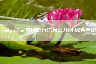 岳阳中国执行信息公开网 综合查询