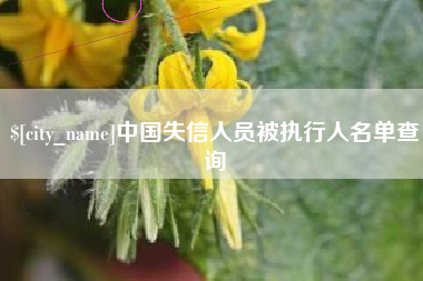 岳阳中国失信人员被执行人名单查询