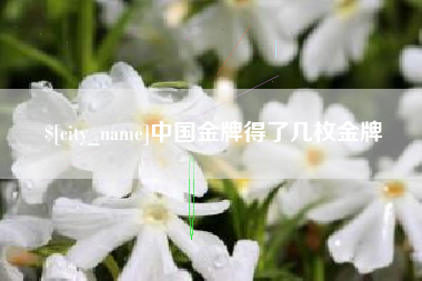 岳阳中国金牌得了几枚金牌