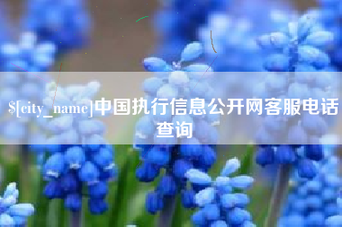 岳阳中国执行信息公开网客服电话查询