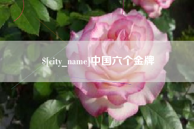 岳阳中国六个金牌