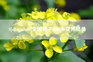 岳阳全国男子5000米世界纪录