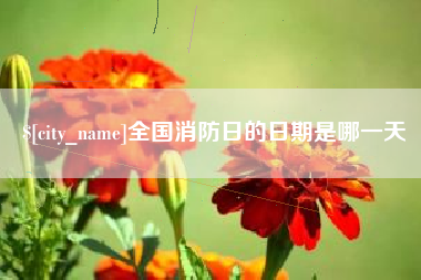 岳阳全国消防日的日期是哪一天