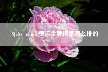 岳阳奥运金牌榜是怎么排的