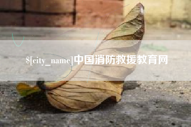 岳阳中国消防救援教育网