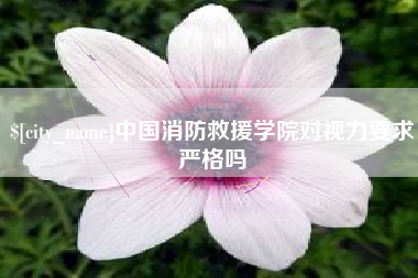 岳阳中国消防救援学院对视力要求严格吗