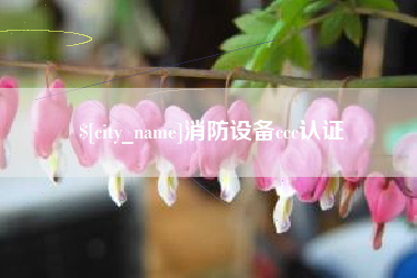 岳阳消防设备ccc认证