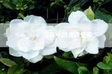 岳阳现在中国金牌是多少