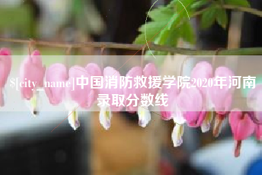 岳阳中国消防救援学院2020年河南录取分数线