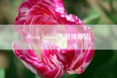 岳阳九宫排除法