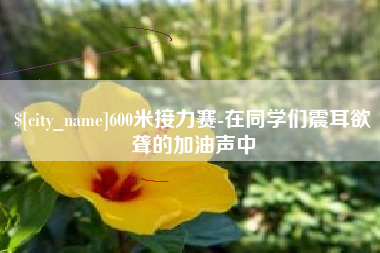 岳阳600米接力赛-在同学们震耳欲聋的加油声中