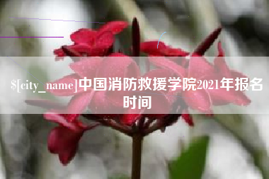 岳阳中国消防救援学院2021年报名时间