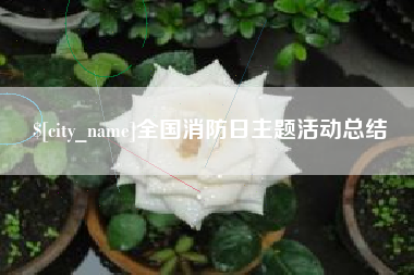 岳阳全国消防日主题活动总结