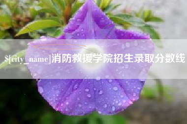 岳阳消防救援学院招生录取分数线
