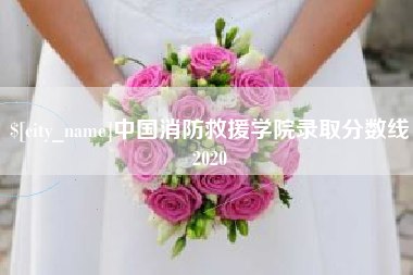 岳阳中国消防救援学院录取分数线2020