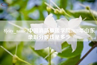 岳阳中国消防救援学院2021年山东录取分数线是多少