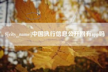 岳阳中国执行信息公开网有app吗