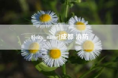 岳阳成都 消防
