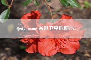 岳阳谷歌卫星地图2025