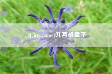岳阳九宫格盘子