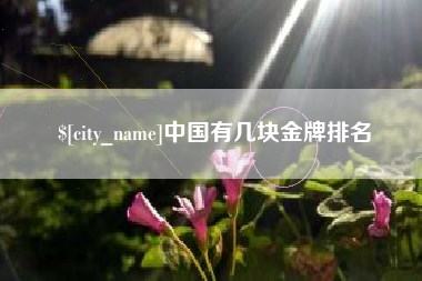岳阳中国有几块金牌排名