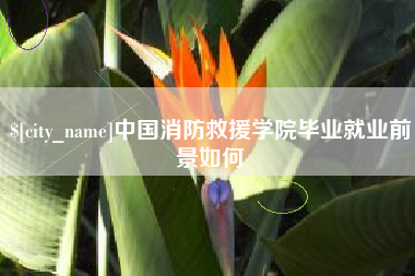 岳阳中国消防救援学院毕业就业前景如何
