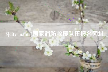 岳阳国家消防救援队伍报名网址