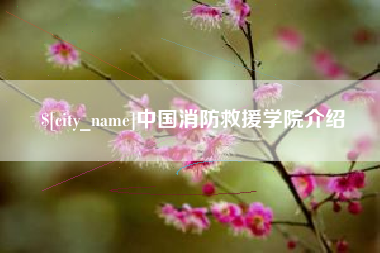 岳阳中国消防救援学院介绍