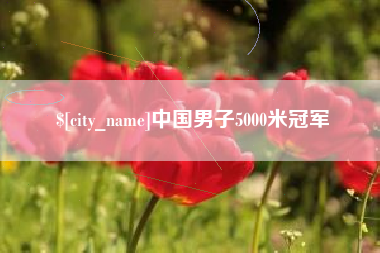 岳阳中国男子5000米冠军