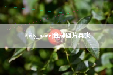 岳阳金牌图片真实
