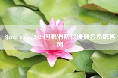 岳阳2020国家消防救援报名系统官网