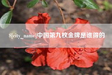 岳阳中国第九枚金牌是谁得的