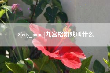 岳阳九宫格游戏叫什么